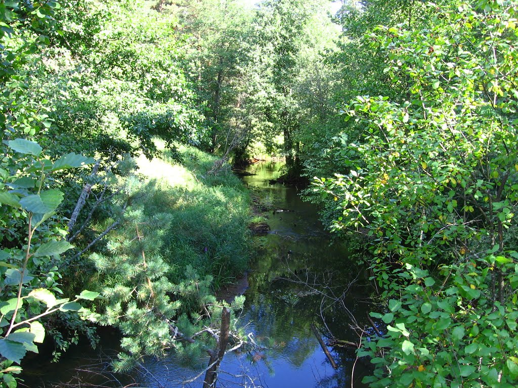 Forest River The Sivets