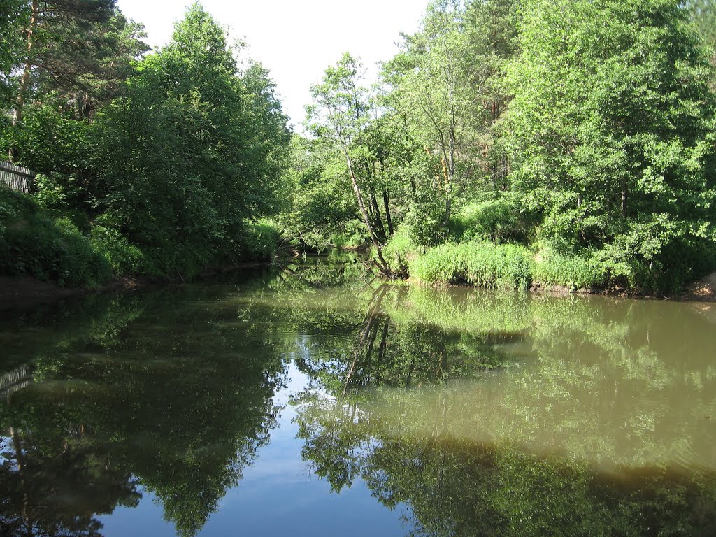 Reflection. The River Voron. Kaduy