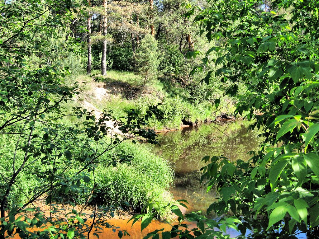 The River Voron. Kaduy