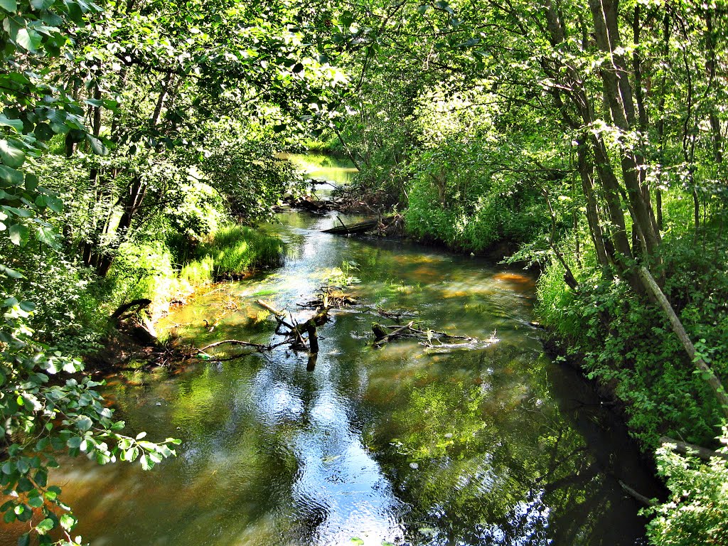 The River Voron. Kaduy