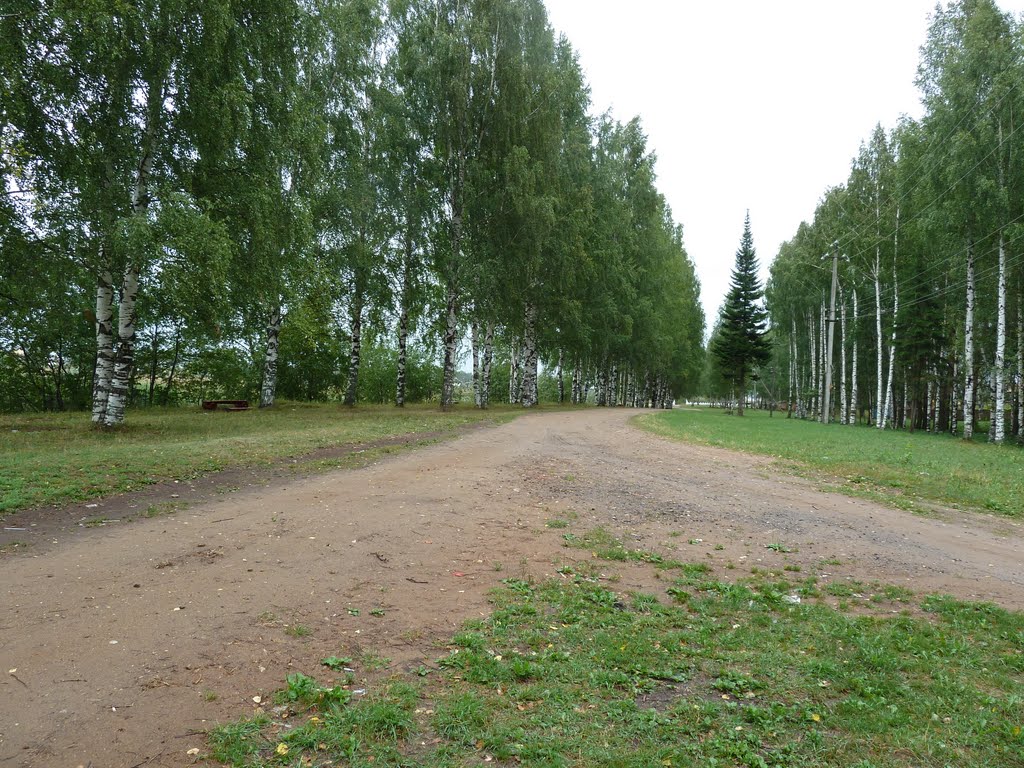 Кичменгский городок