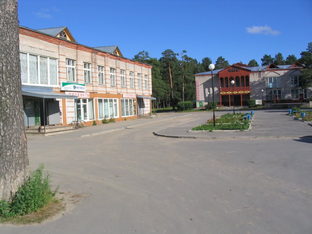 Липин Бор. Дом культуры