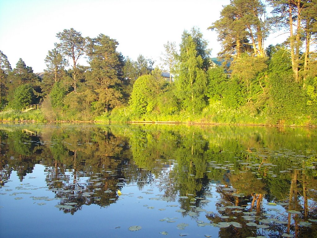Borovka river (view toward east) very evening
