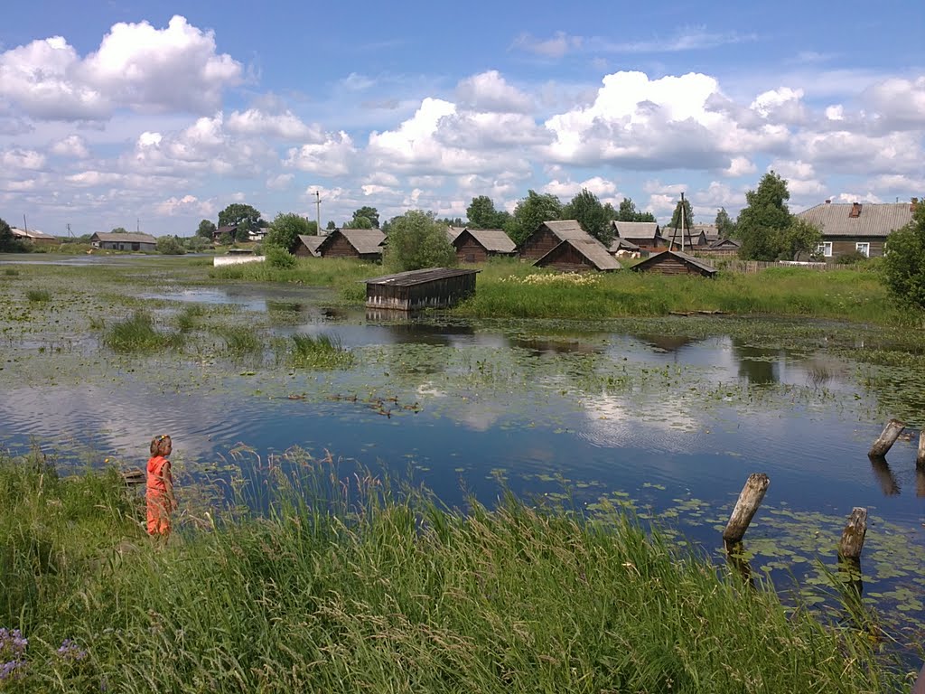 река Боровка/ river Borovka