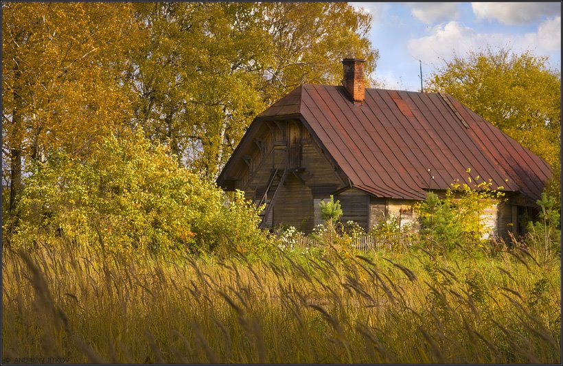 Золотая осень - Golden autumn