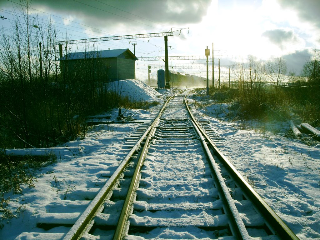 Прошёл грузовой поезд. (около ст."Сухона"). Freight train passed
