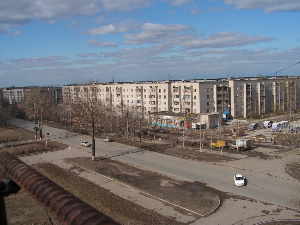 Вид Сокола