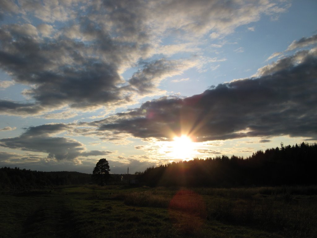 Summer evening