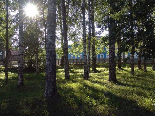 В парке