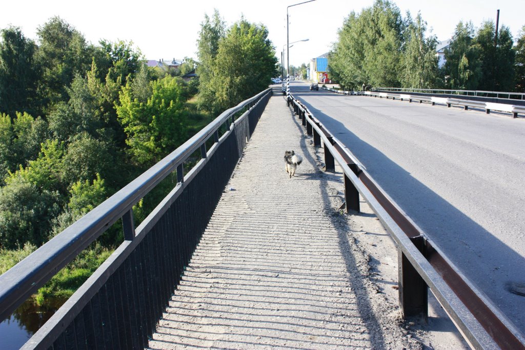 мост в г.Устюжна через р.Молога вид в сторону Автовокзала