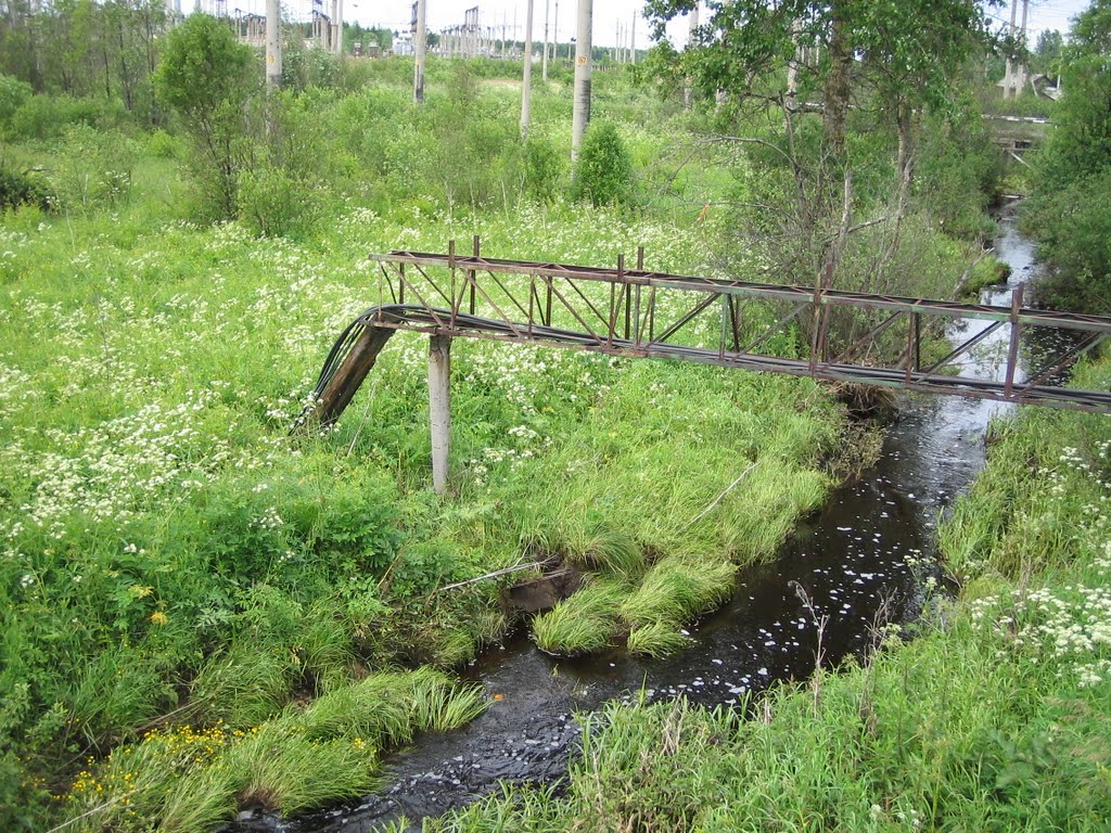 ручей к западу