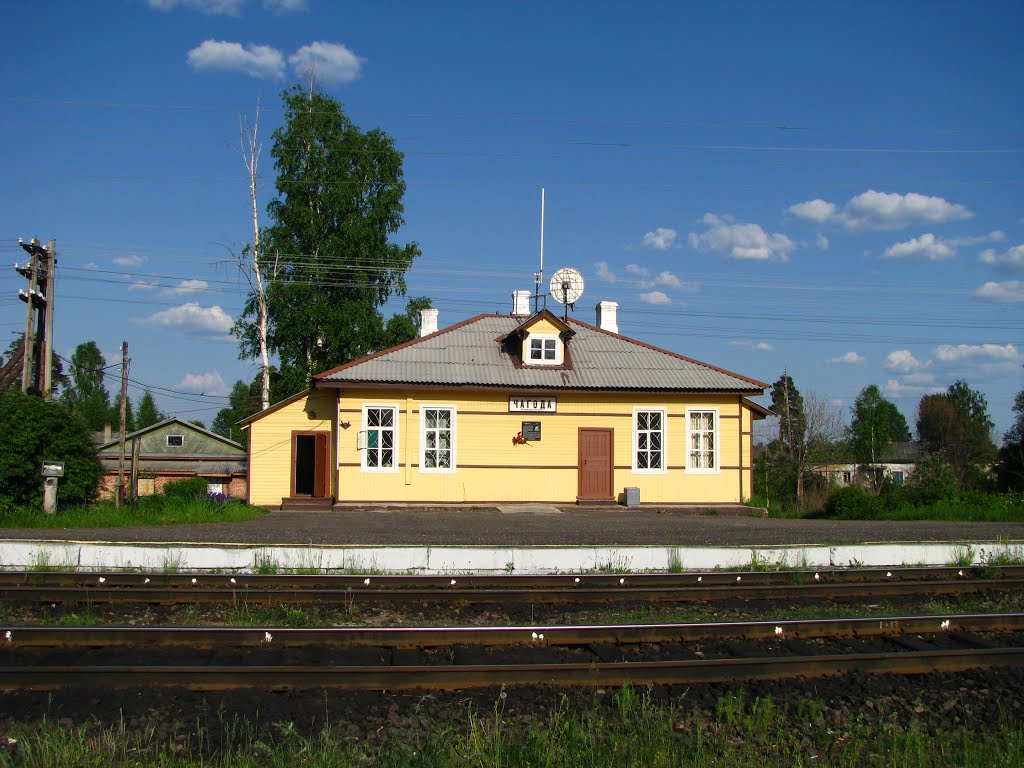 Railway station. Chagoda