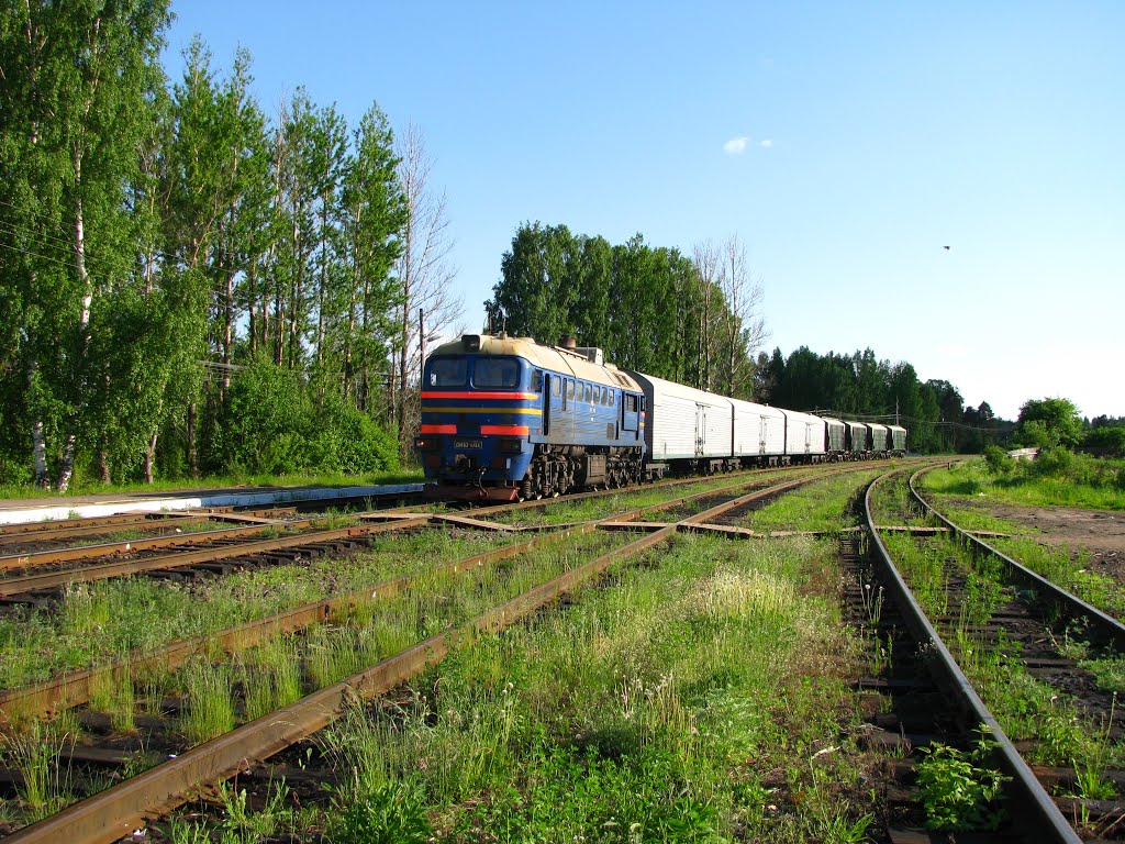 Railroad tracks