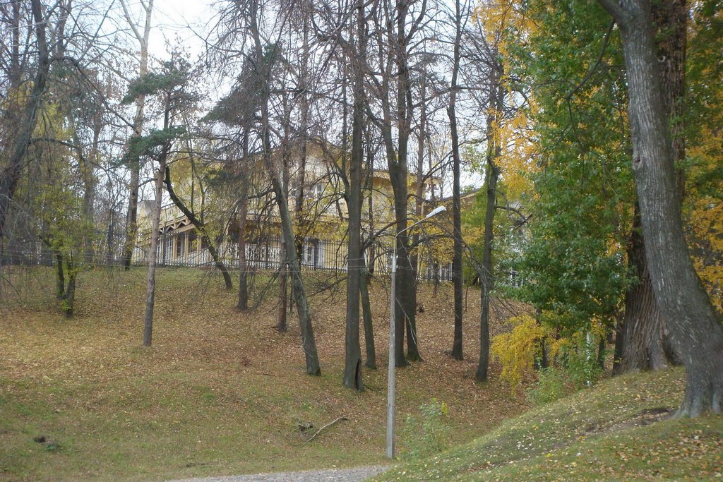 Old manor (Музей «Дом И. А. Милютина»)