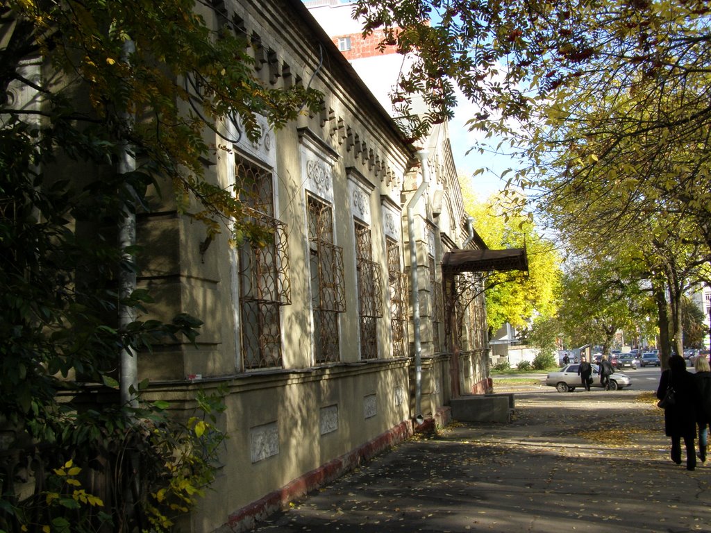 Тенистая улочка