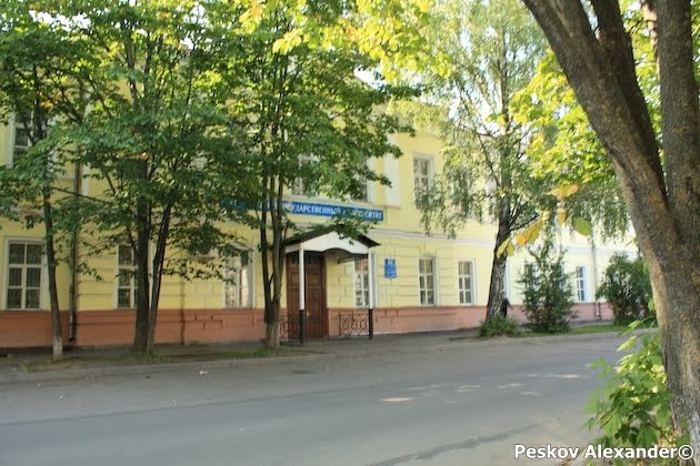 университет