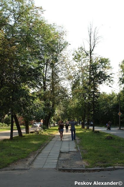 аллейка