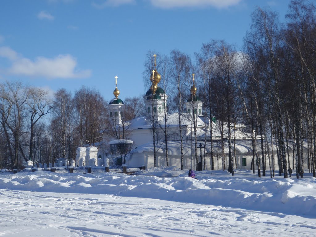 Снежная зима 2010-го.