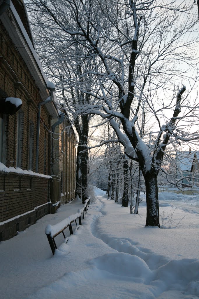 Замело пути-дорожки