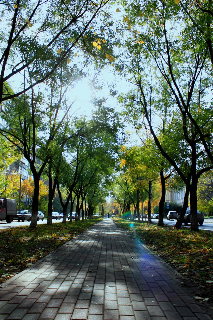 Lunacharsky street. Cherepovets.