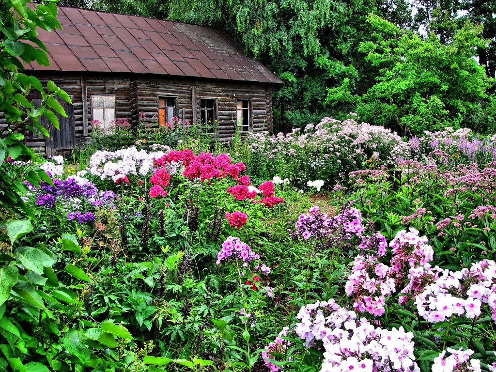 Flower garden near an abandoned home