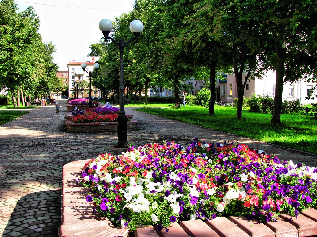 Vereshchagina street. Cherepovets