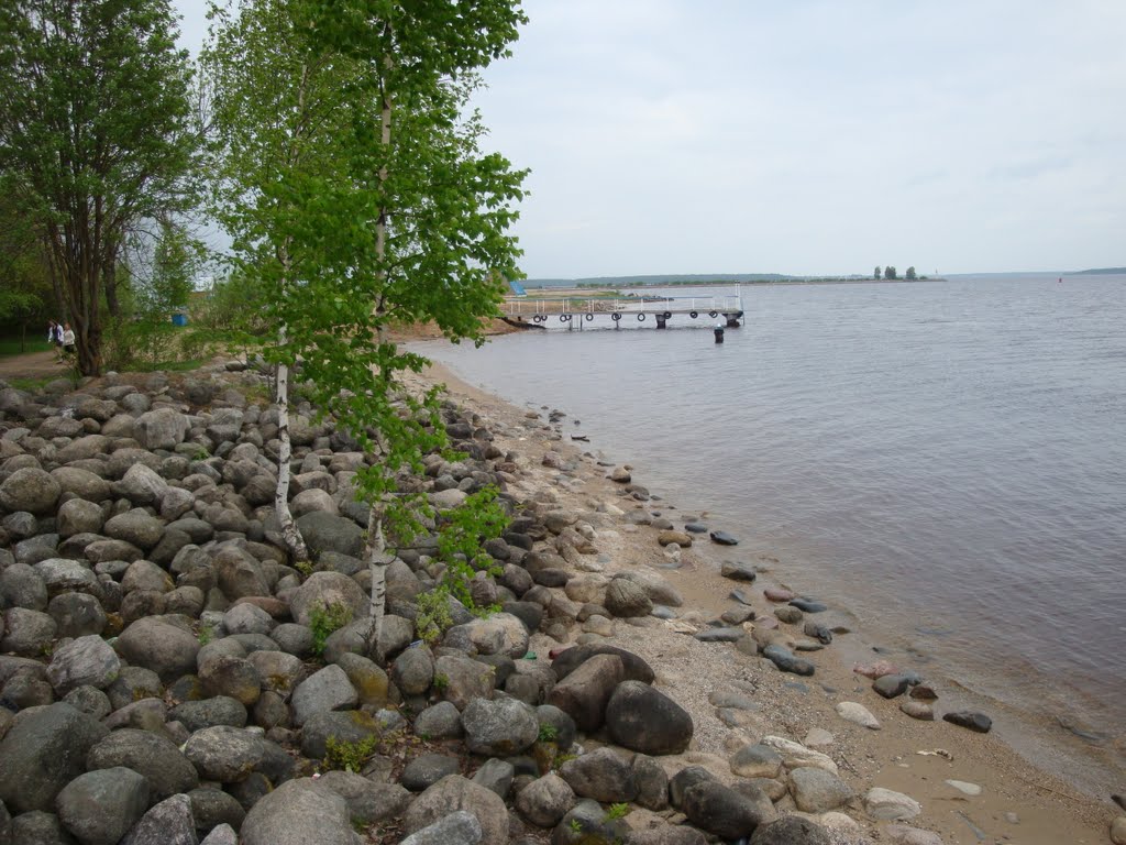 Vologodskaya area, Sheksna