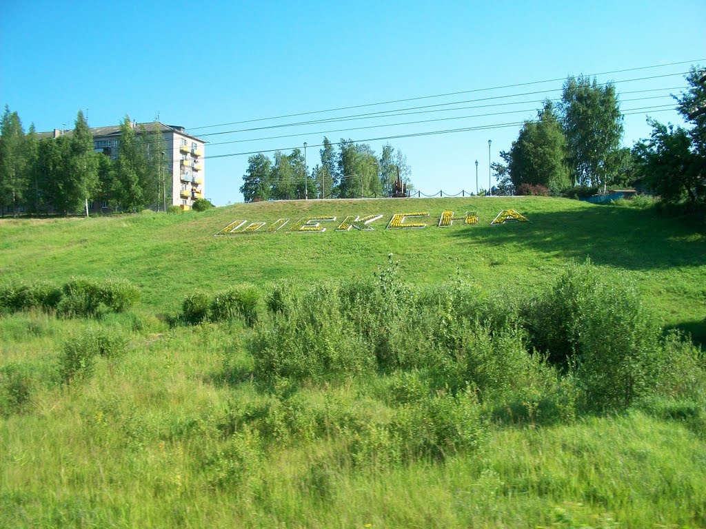 ШЕКСНА(Исм. Альберт)