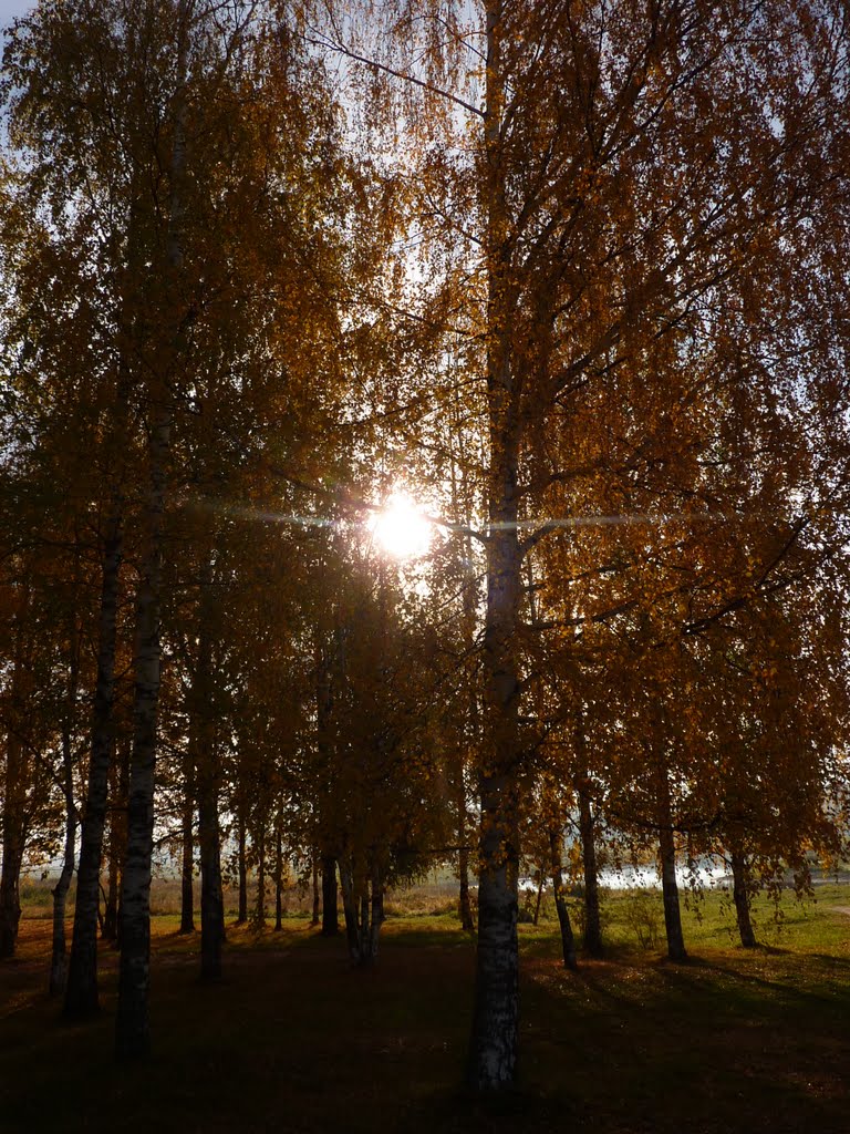 Парк у реки Угла