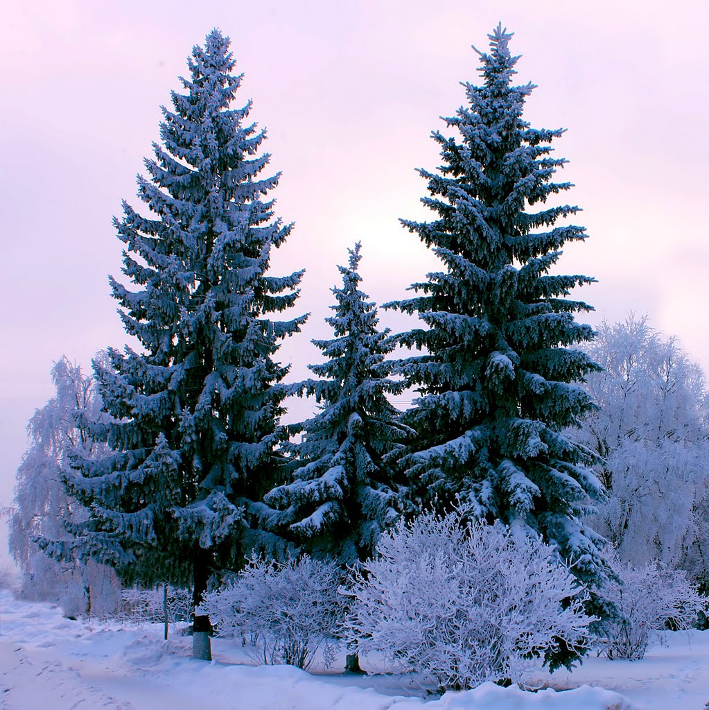 Семья