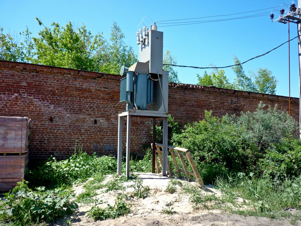 10 кВ