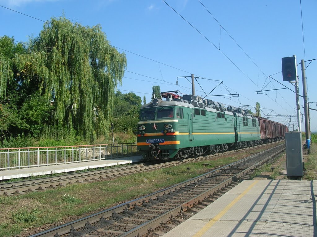 поезд у пл. 210 км, лето 2008