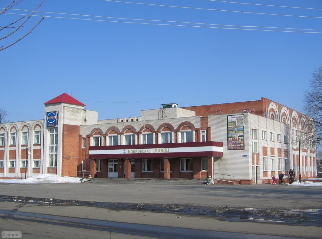 Childrens Sports School. Bobrov. Voronezh Region