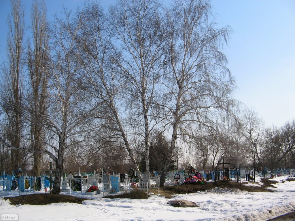 Cemetery. Bobrov. Voronezh Region