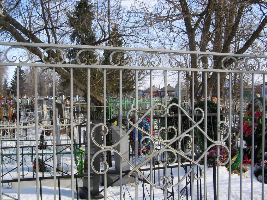 Bobrov. Voronezh Region. Russia