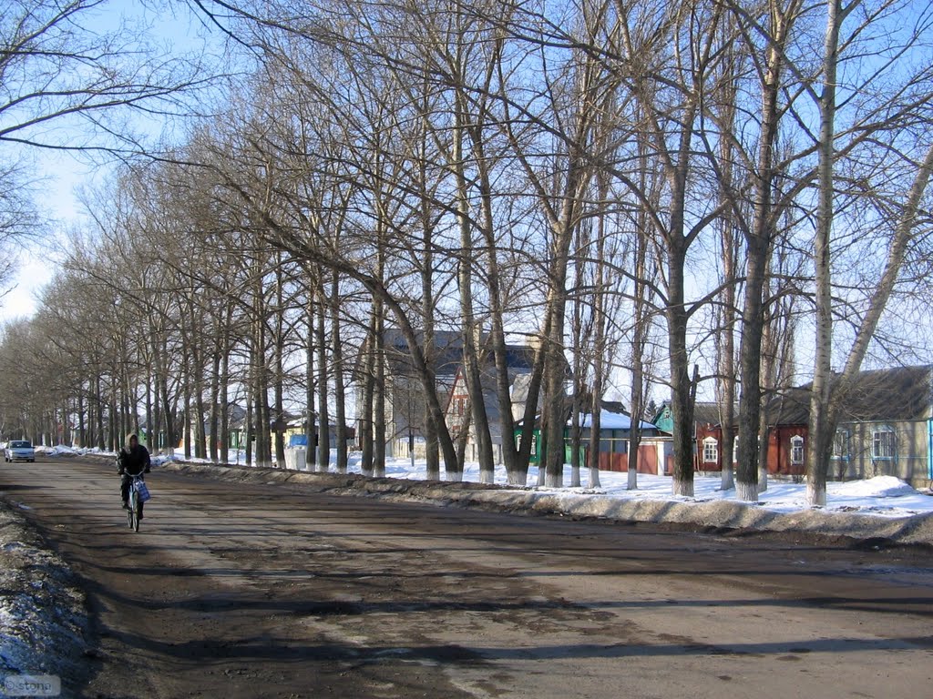 Bobrov. Voronezh Region. Russia