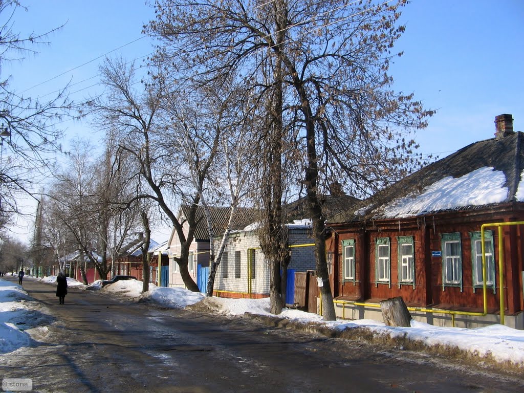 Bobrov. Voronezh Region. Russia