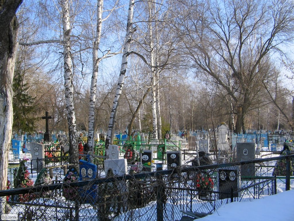 Bobrov. Voronezh Region. Russia