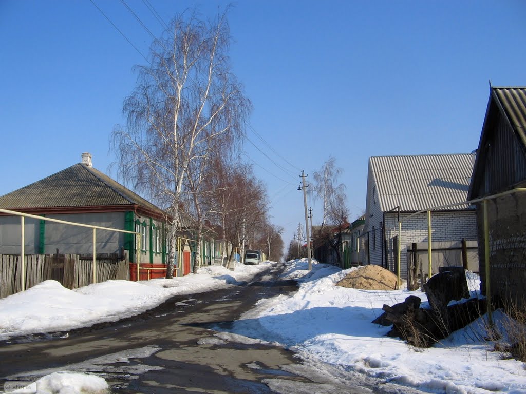 Bobrov. Voronezh Region