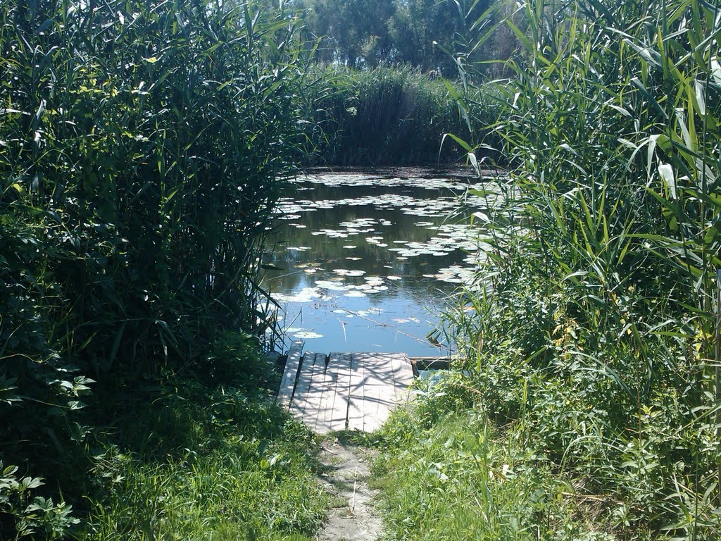р. Богучарка
