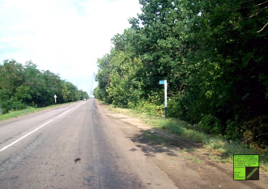 Богучарский район, 32 км (08.2011)