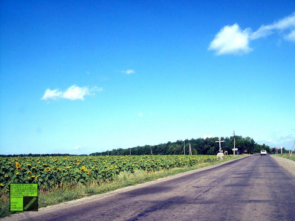Богучар, (08.2011)
