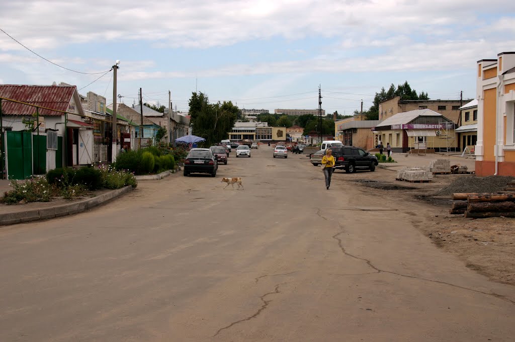 Boguchar. Near marketplace. Богучар.  Около рынка.