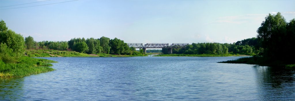 р. Ворона