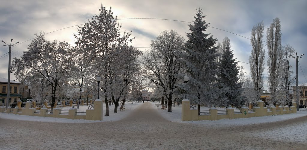 сквер зимой