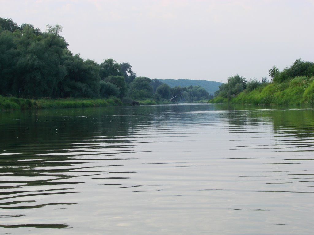 the Vorona river