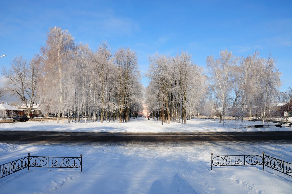 аллея зимой