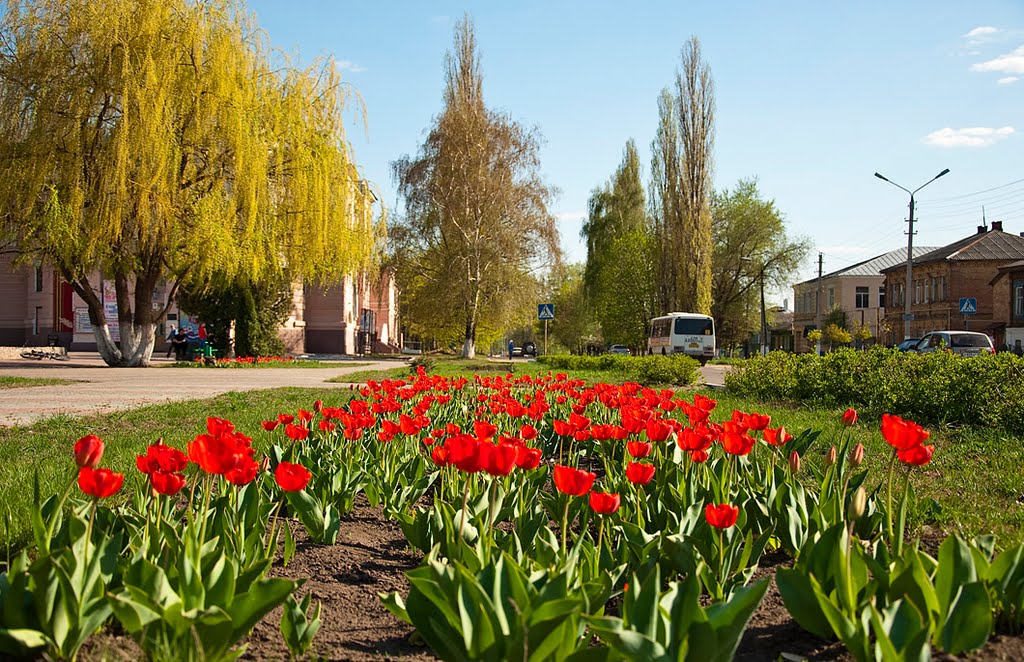 весна 2010