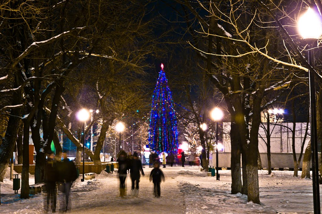 зимой в аллее