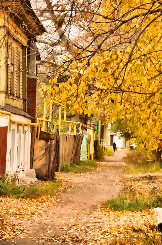 Осень в Борисоглебске